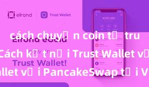 cách chuyển coin từ trust wallet Cách kết nối Trust Wallet với PancakeSwap tại Việt Nam